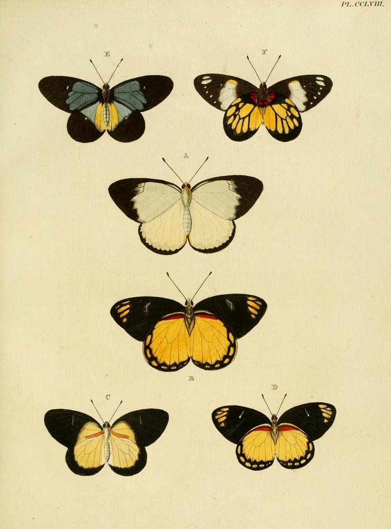 Aanhangsel van het werk, De uitlandsche kapellen (Pl. CCLVIII) (8226408165)