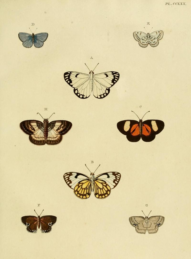 Aanhangsel van het werk, De uitlandsche kapellen (Pl. CCLXX) (8227484824)