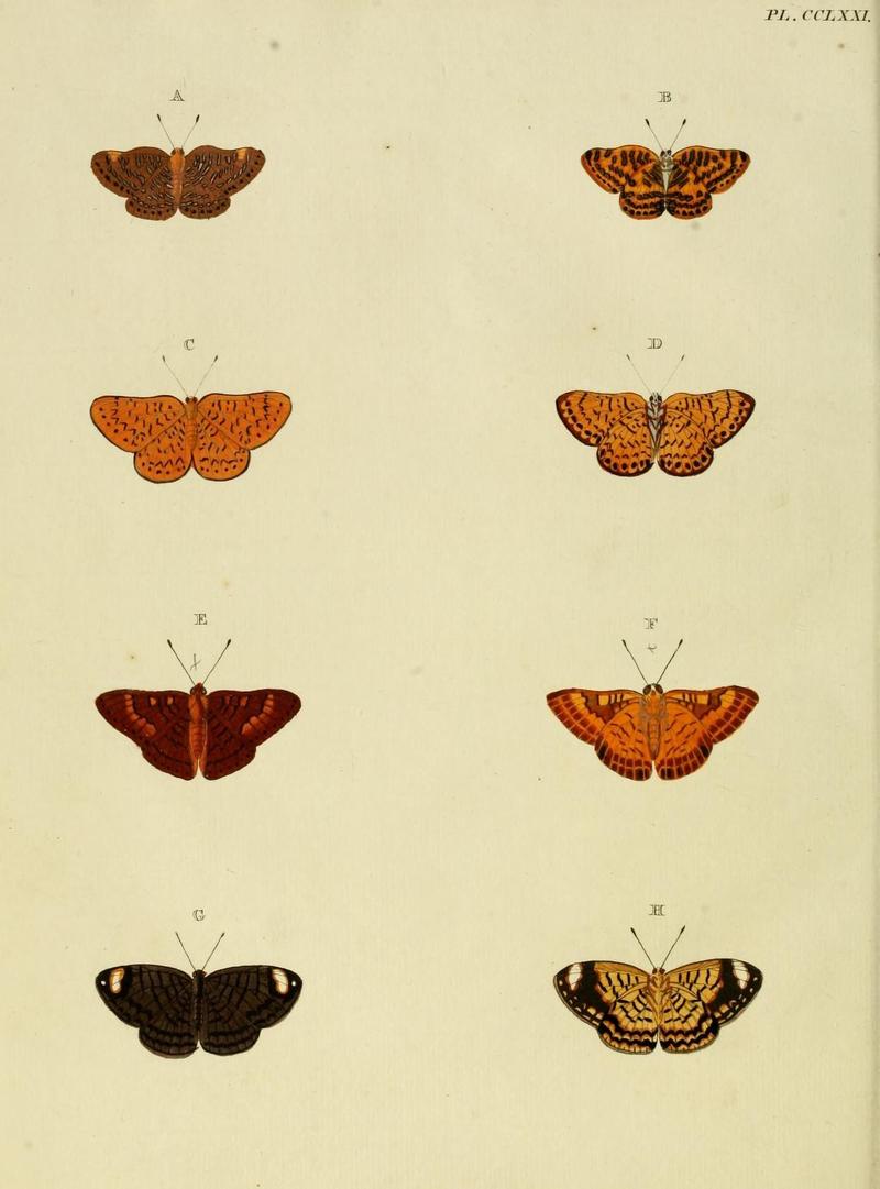 Aanhangsel van het werk, De uitlandsche kapellen (Pl. CCLXXI) (8226412637)