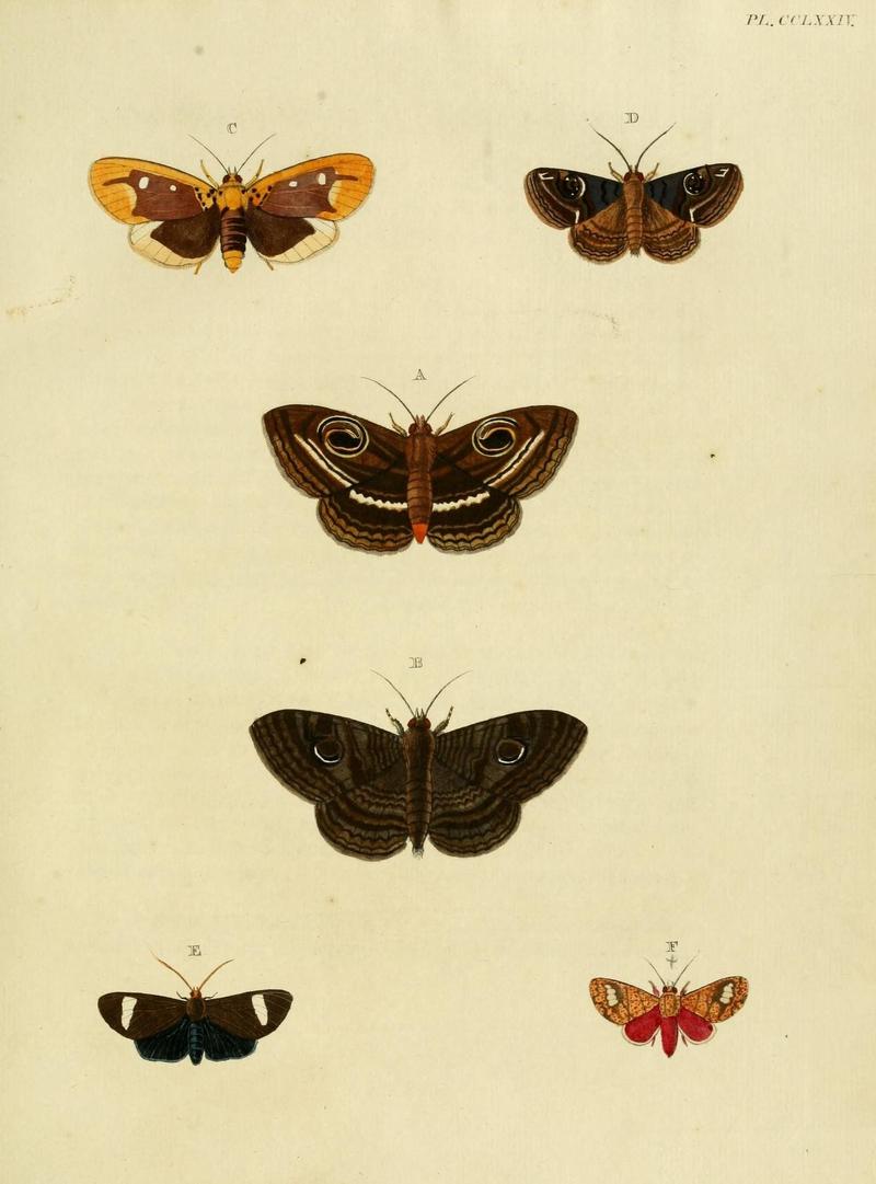 Aanhangsel van het werk, De uitlandsche kapellen (Pl. CCLXXIV) (8226413995)