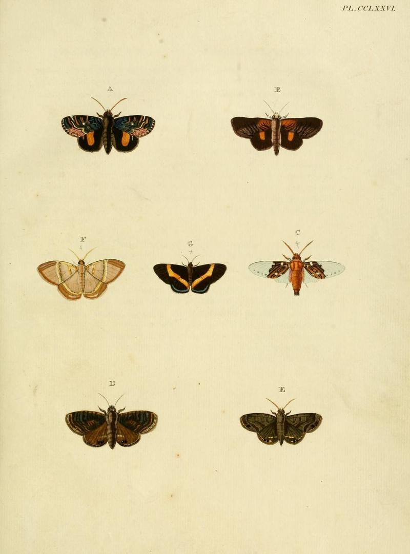 Aanhangsel van het werk, De uitlandsche kapellen (Pl. CCLXXVI) (8227487068)