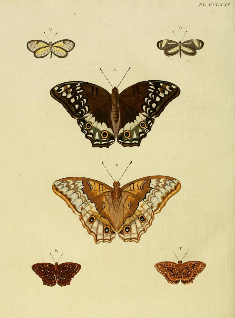 Aanhangsel van het werk, De uitlandsche kapellen (Pl. CCLXXX) (8226416151)