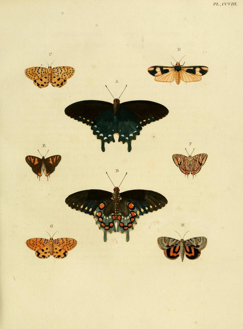 Aanhangsel van het werk, De uitlandsche kapellen (Pl. CCVIII) (8226389937)