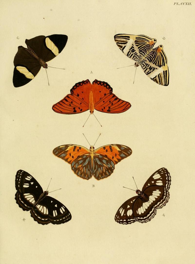 Aanhangsel van het werk, De uitlandsche kapellen (Pl. CCXII) (8226391399)