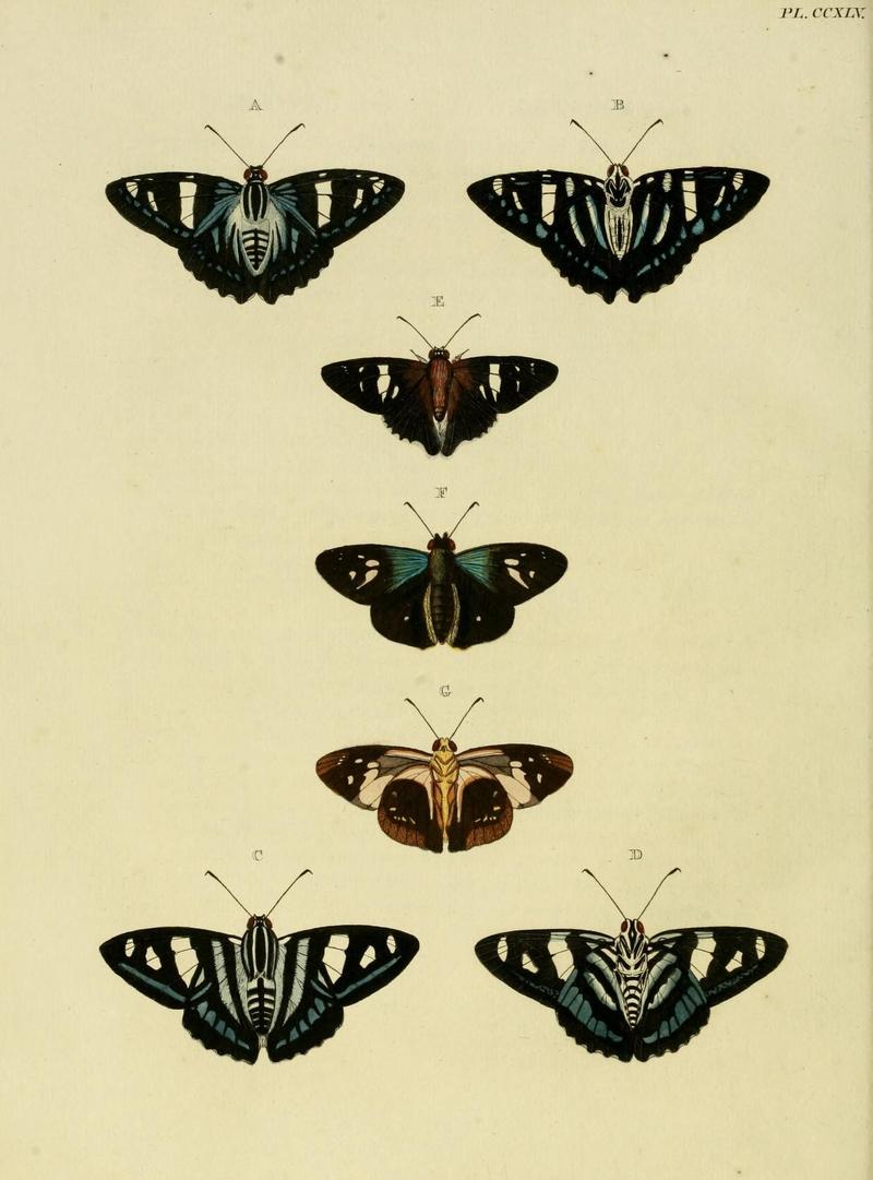 Aanhangsel van het werk, De uitlandsche kapellen (Pl. CCXLV) (8227475314)