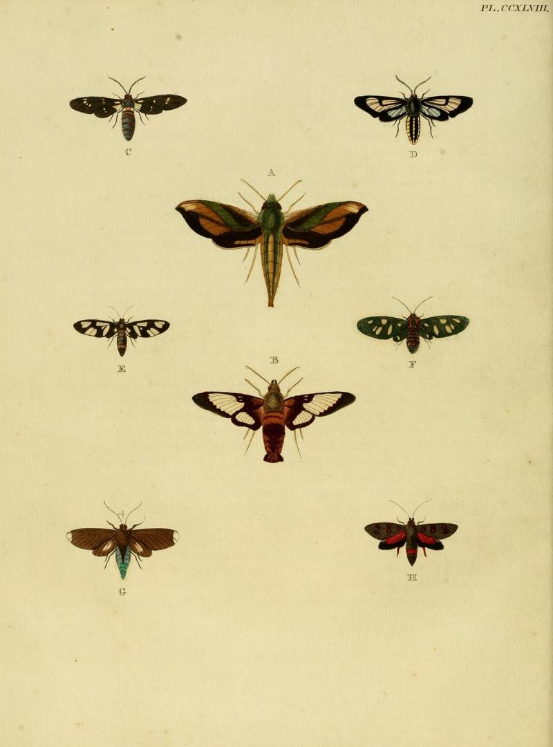 Aanhangsel van het werk, De uitlandsche kapellen (Pl. CCXLVIII) (8227476336)