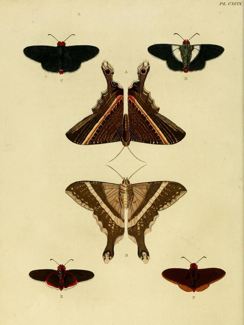 Aanhangsel van het werk, De uitlandsche kapellen (Pl. CXCIX) (8227459416)