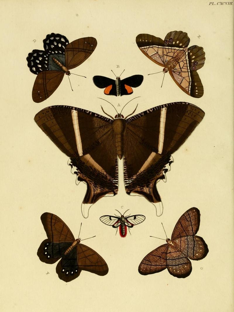 Aanhangsel van het werk, De uitlandsche kapellen (Pl. CXCVIII) (8226386259)