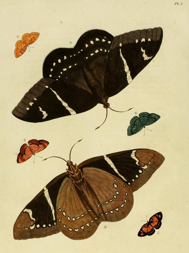 Aanhangsel van het werk, De uitlandsche kapellen (Pl. I) (8220163883)