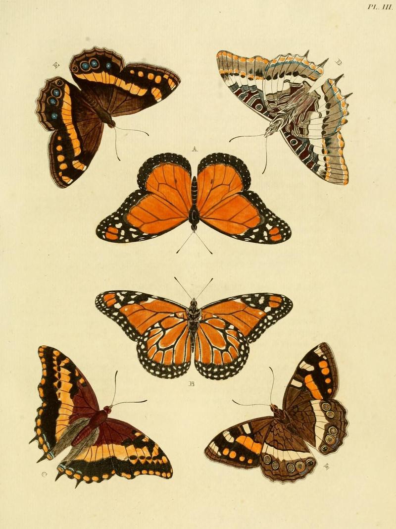 Aanhangsel van het werk, De uitlandsche kapellen (Pl. III) (8221245054)