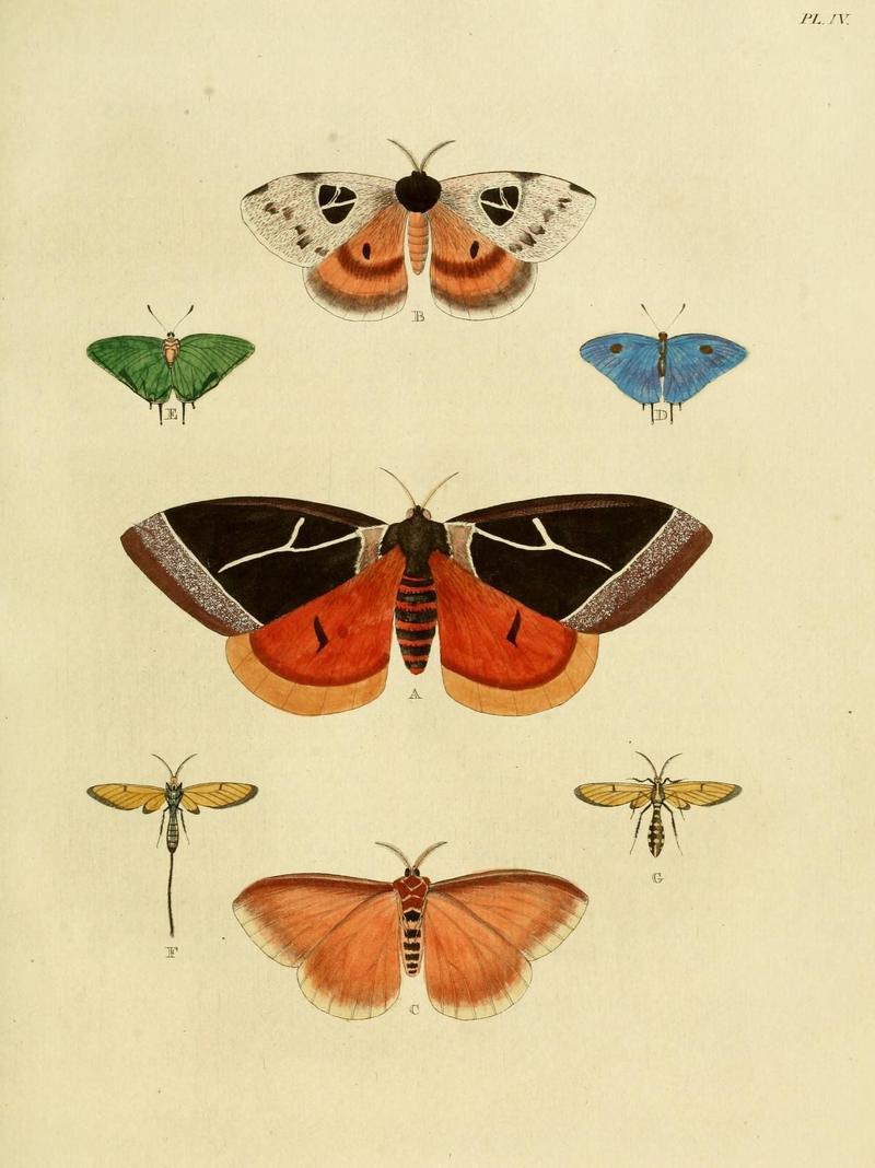 Aanhangsel van het werk, De uitlandsche kapellen (Pl. IV) (8220165205)