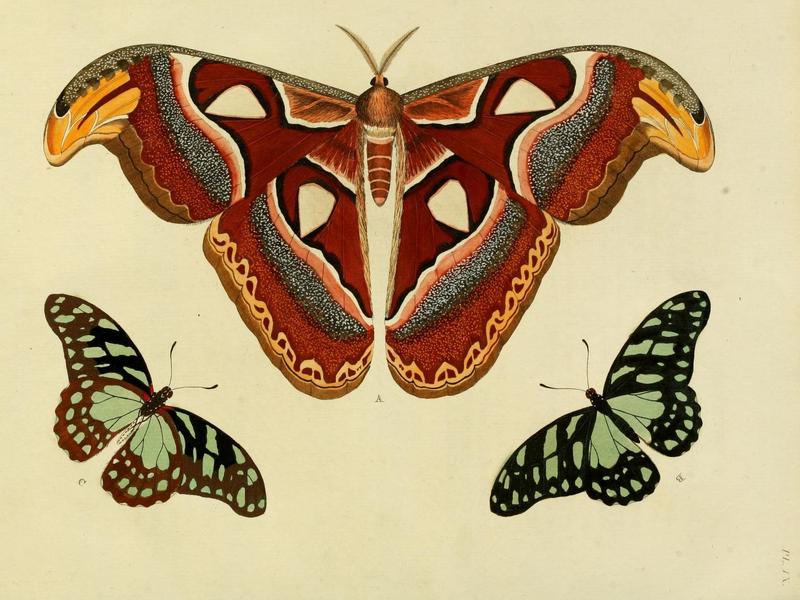 Aanhangsel van het werk, De uitlandsche kapellen (Pl. IX) (8221248216)