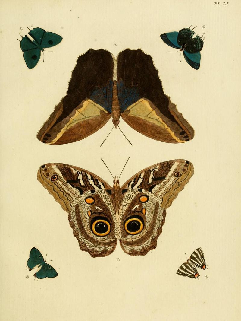 Aanhangsel van het werk, De uitlandsche kapellen (Pl. LI) (8221265974)