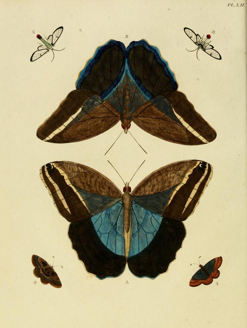 Aanhangsel van het werk, De uitlandsche kapellen (Pl. LII) (8221266328)