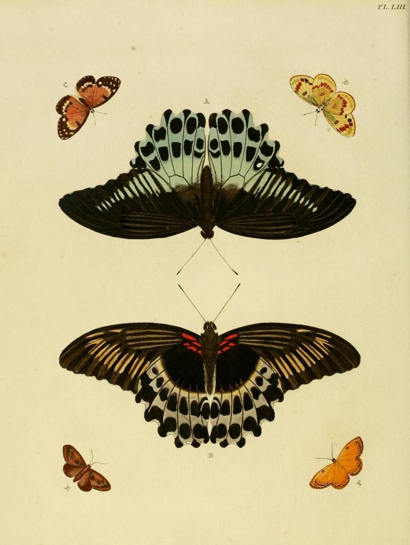 Aanhangsel van het werk, De uitlandsche kapellen (Pl. LIII) (8220186263)