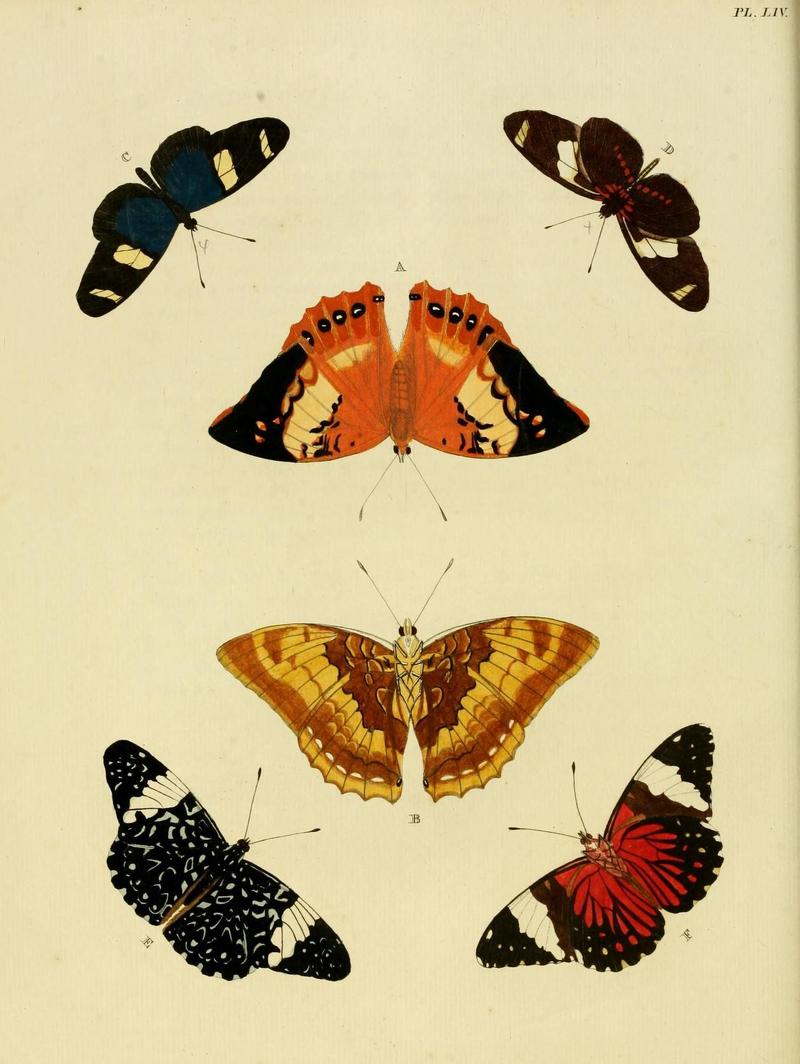 Aanhangsel van het werk, De uitlandsche kapellen (Pl. LIV) (8221267112)