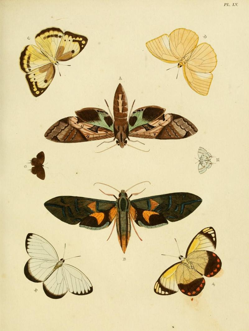 Aanhangsel van het werk, De uitlandsche kapellen (Pl. LV) (8220187143)