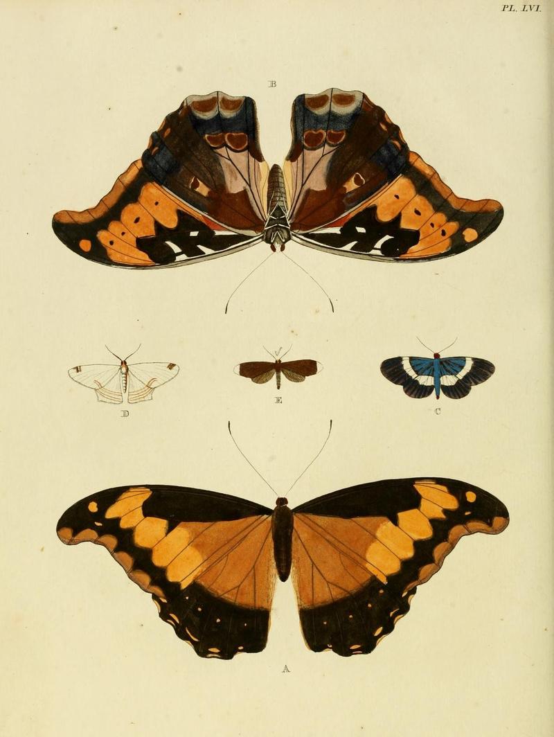 Aanhangsel van het werk, De uitlandsche kapellen (Pl. LVI) (8220187475)