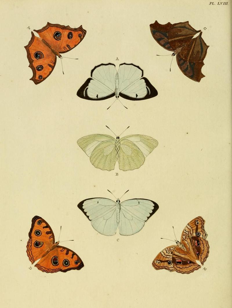 Aanhangsel van het werk, De uitlandsche kapellen (Pl. LVIII) (8221268700)