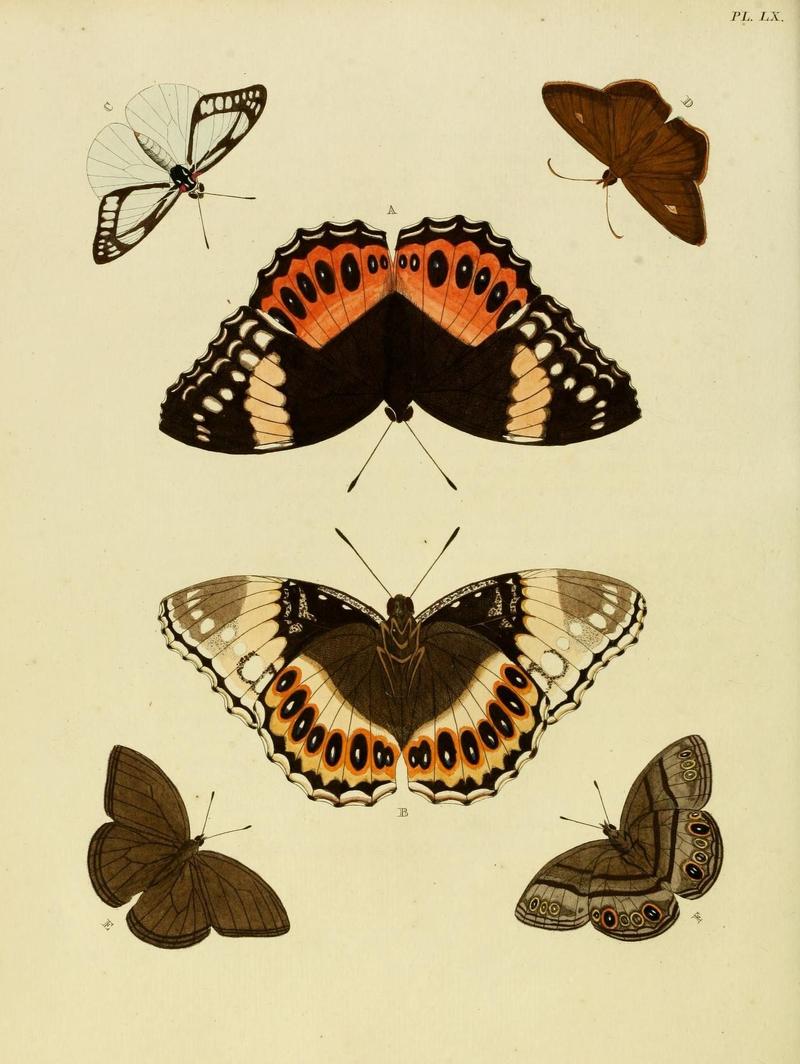 Aanhangsel van het werk, De uitlandsche kapellen (Pl. LX) (8221269738)