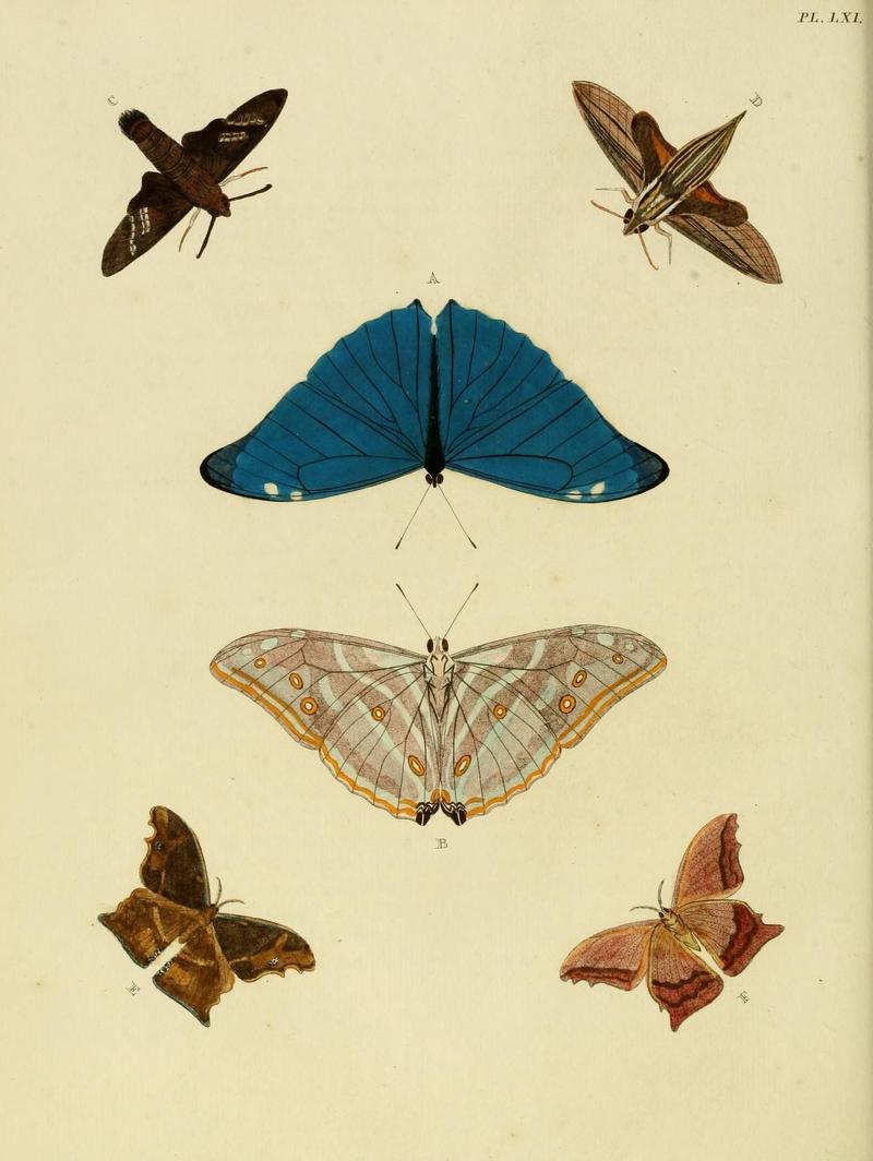 Aanhangsel van het werk, De uitlandsche kapellen (Pl. LXI) (8220189631)