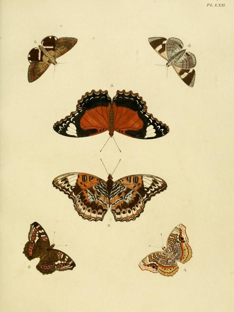 Aanhangsel van het werk, De uitlandsche kapellen (Pl. LXII) (8220189983)