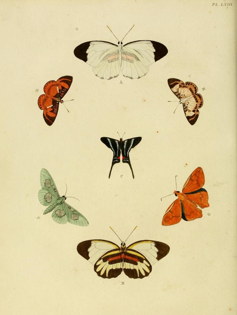 Aanhangsel van het werk, De uitlandsche kapellen (Pl. LXIII) (8220190351)