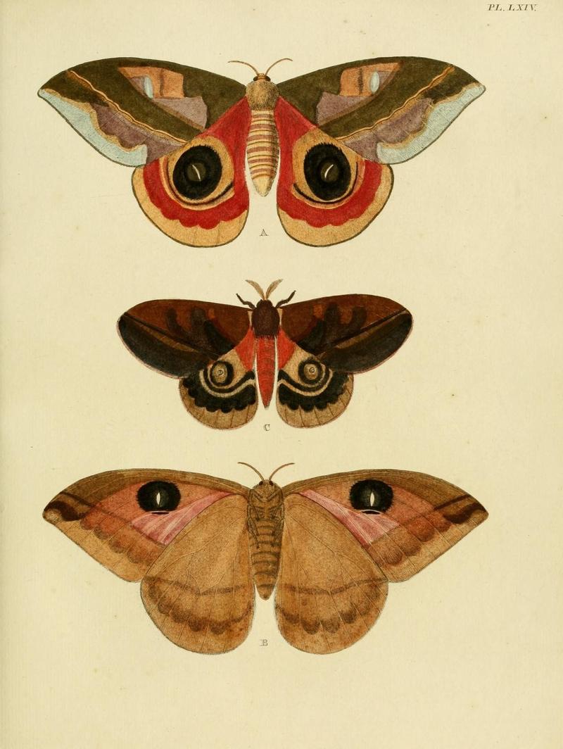 Aanhangsel van het werk, De uitlandsche kapellen (Pl. LXIV) (8220190791)