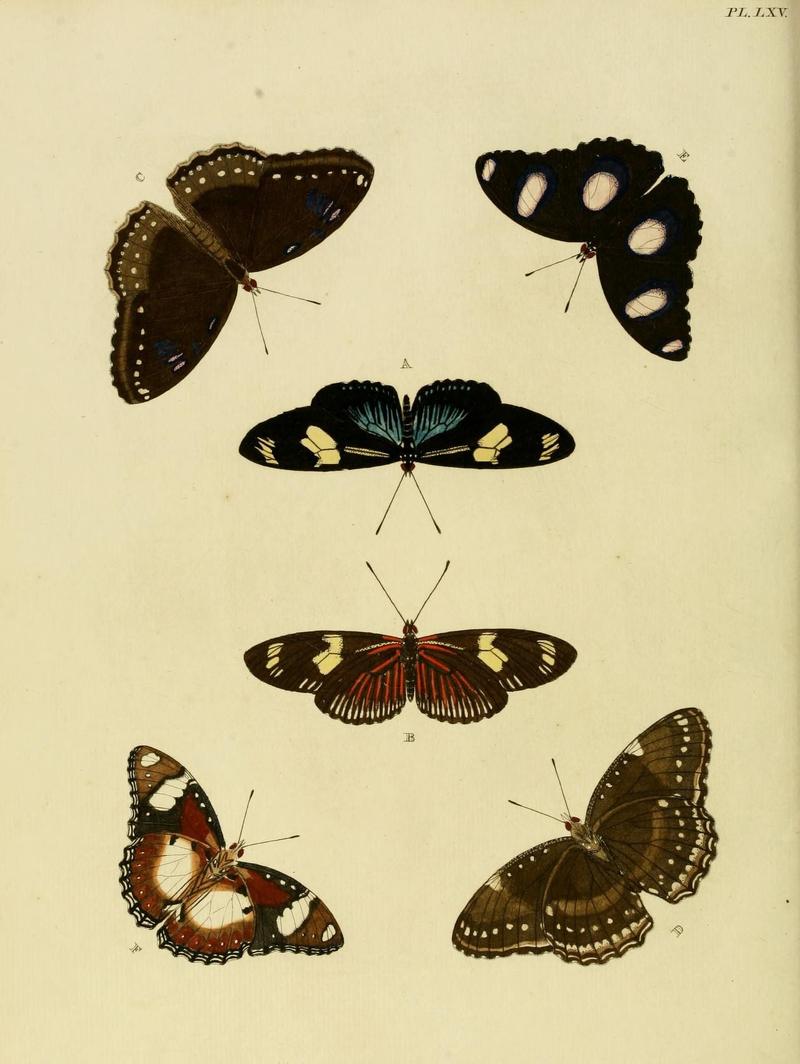 Aanhangsel van het werk, De uitlandsche kapellen (Pl. LXV) (8221271584)