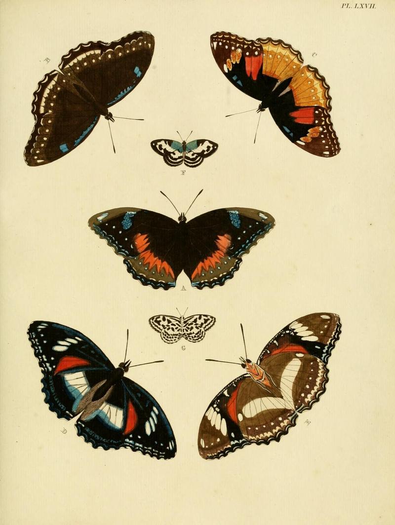 Aanhangsel van het werk, De uitlandsche kapellen (Pl. LXVII) (8221272892)