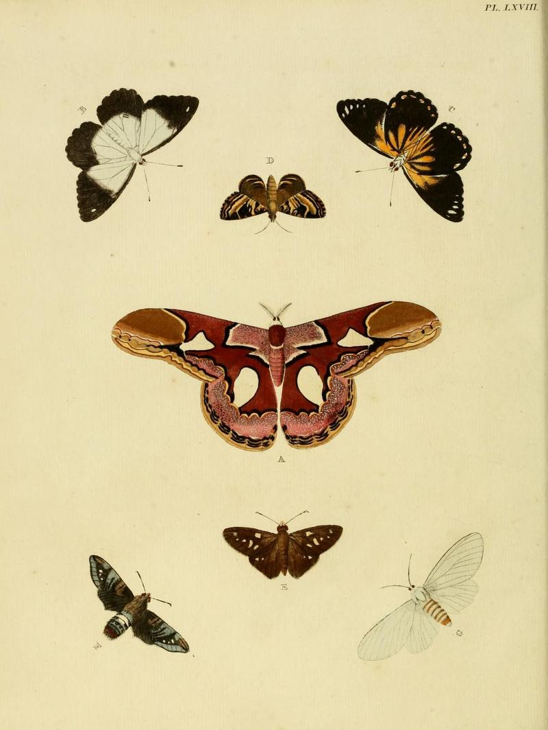 Aanhangsel van het werk, De uitlandsche kapellen (Pl. LXVIII) (8221273380)