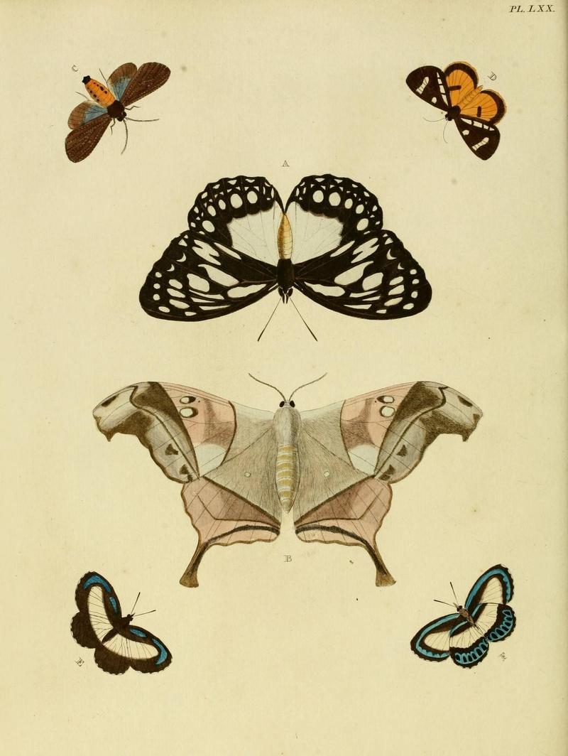 Aanhangsel van het werk, De uitlandsche kapellen (Pl. LXX) (8220193645)