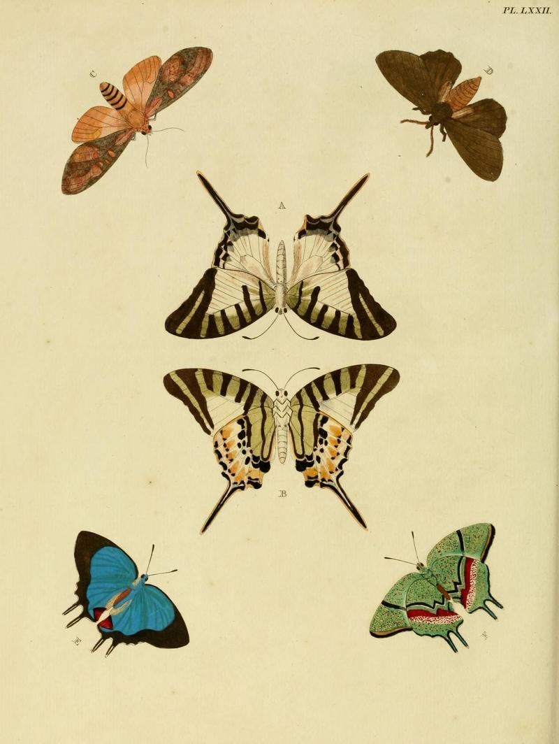 Aanhangsel van het werk, De uitlandsche kapellen (Pl. LXXII) (8220194413)