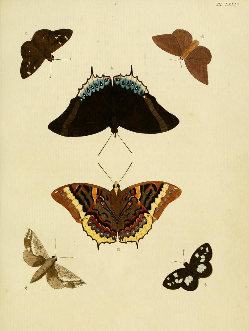 Aanhangsel van het werk, De uitlandsche kapellen (Pl. LXXIV) (8221275662)