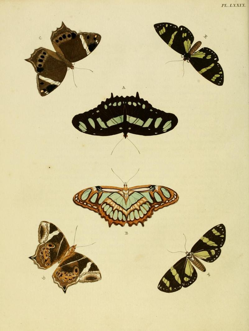 Aanhangsel van het werk, De uitlandsche kapellen (Pl. LXXIX) (8220197191)