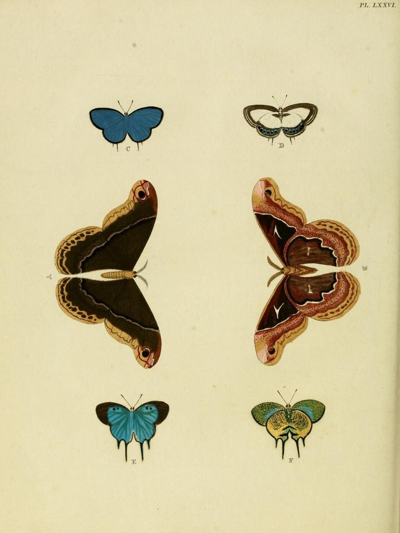 Aanhangsel van het werk, De uitlandsche kapellen (Pl. LXXVI) (8220195941)