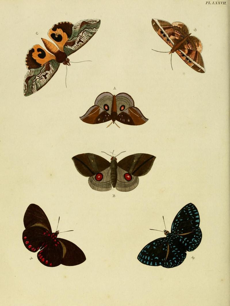 Aanhangsel van het werk, De uitlandsche kapellen (Pl. LXXVII) (8220196269)