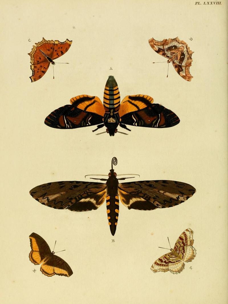 Aanhangsel van het werk, De uitlandsche kapellen (Pl. LXXVIII) (8220196729)