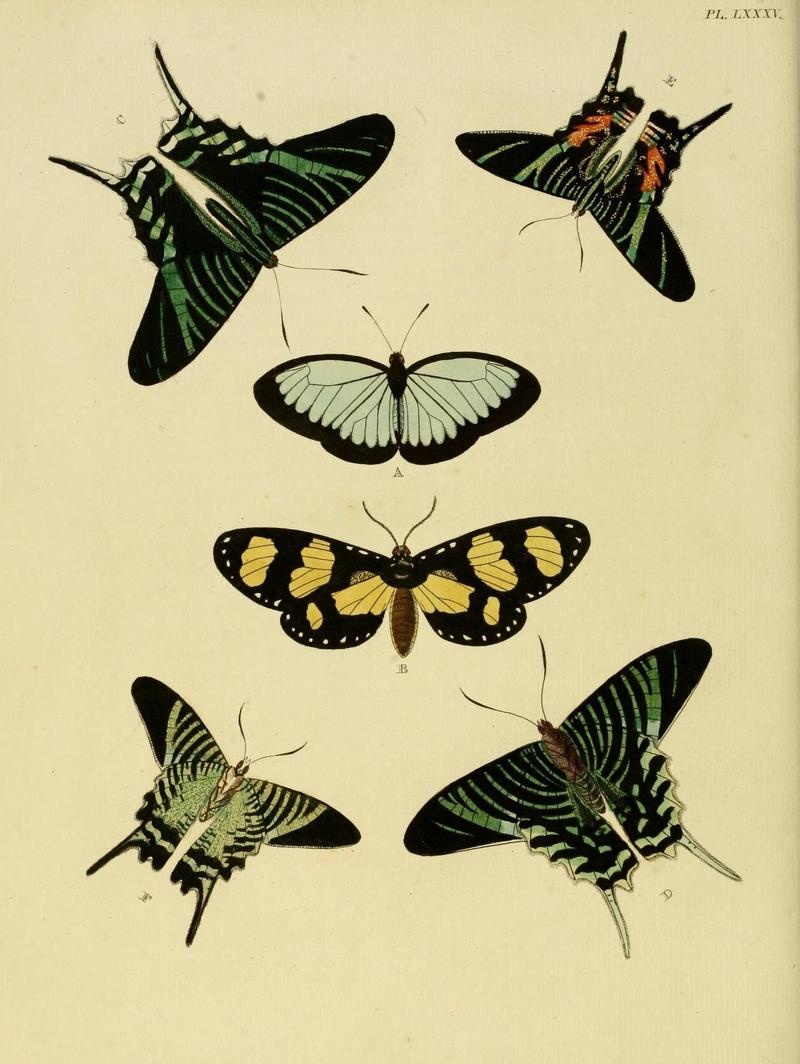 Aanhangsel van het werk, De uitlandsche kapellen (Pl. LXXXV) (8221280846)