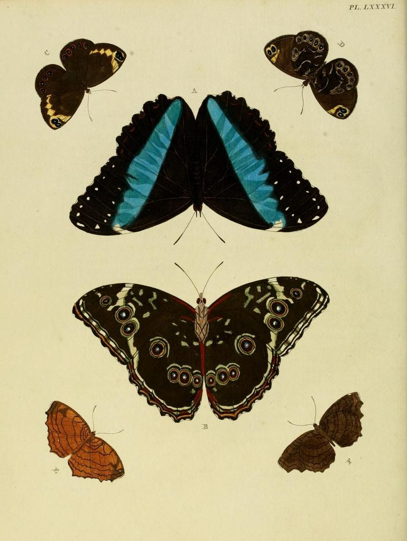 Aanhangsel van het werk, De uitlandsche kapellen (Pl. LXXXVI) (8220200977)