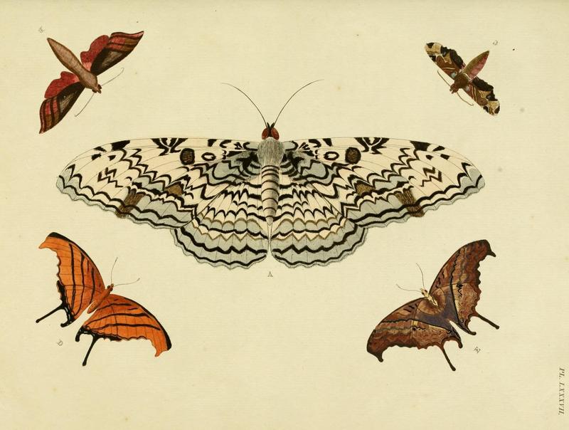 Aanhangsel van het werk, De uitlandsche kapellen (Pl. LXXXVII) (8221281810)