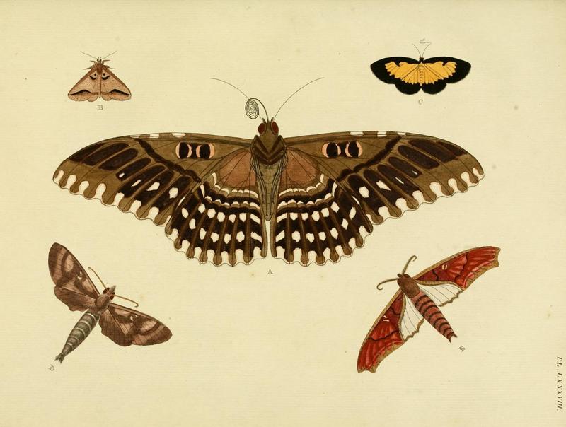 Aanhangsel van het werk, De uitlandsche kapellen (Pl. LXXXVIII) (8220201755)