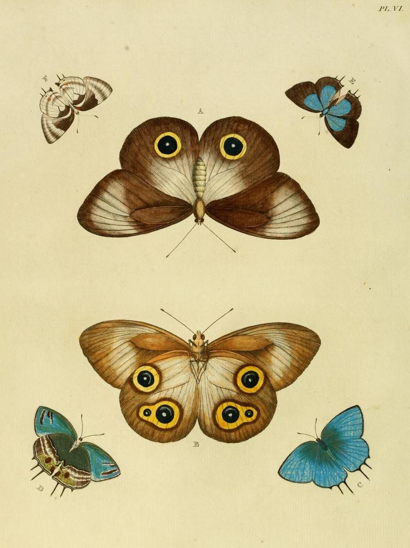 Aanhangsel van het werk, De uitlandsche kapellen (Pl. VI) (8220166233)