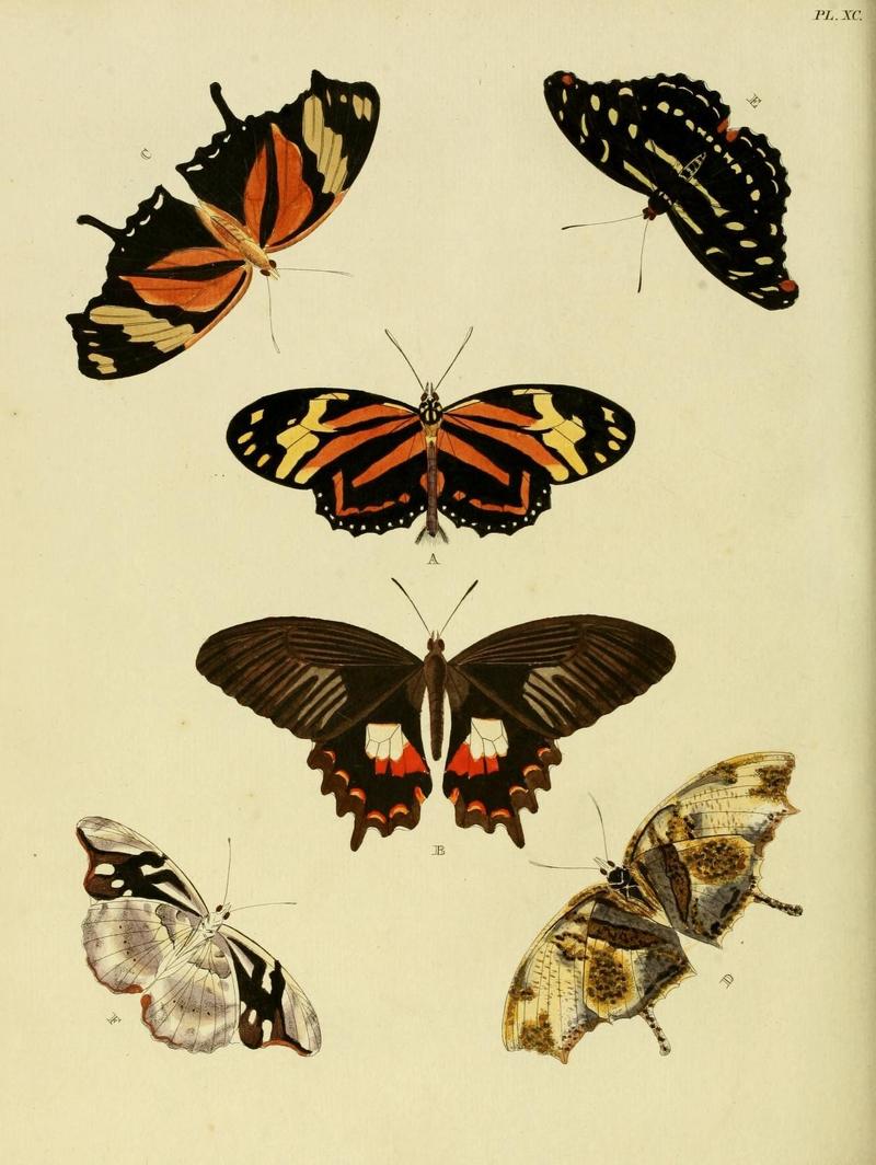 Aanhangsel van het werk, De uitlandsche kapellen (Pl. XC) (8221283230)