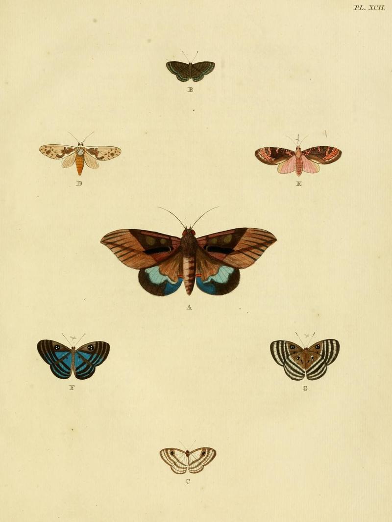 Aanhangsel van het werk, De uitlandsche kapellen (Pl. XCII) (8221284222)