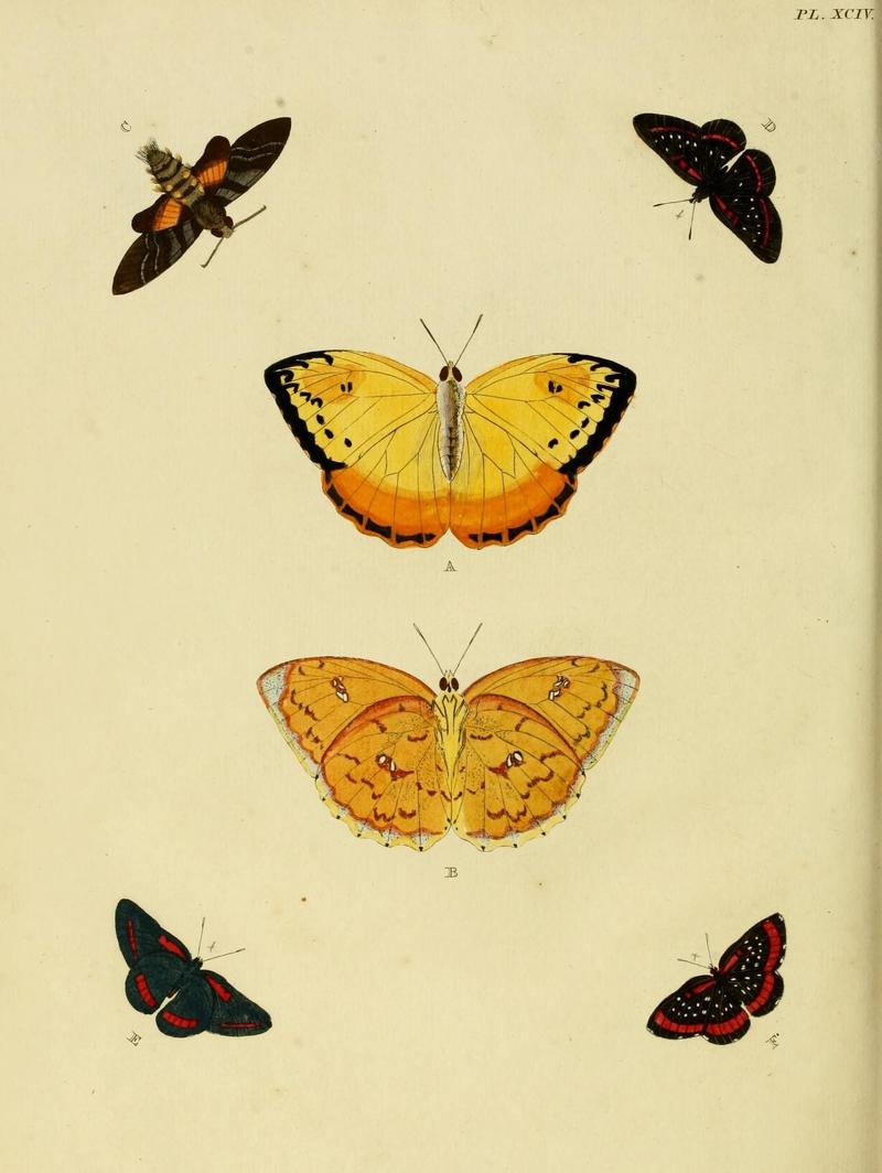 Aanhangsel van het werk, De uitlandsche kapellen (Pl. XCIV) (8220204395)