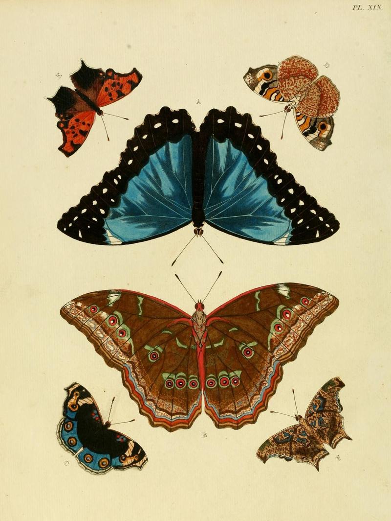 Aanhangsel van het werk, De uitlandsche kapellen (Pl. XIX) (8220171897)