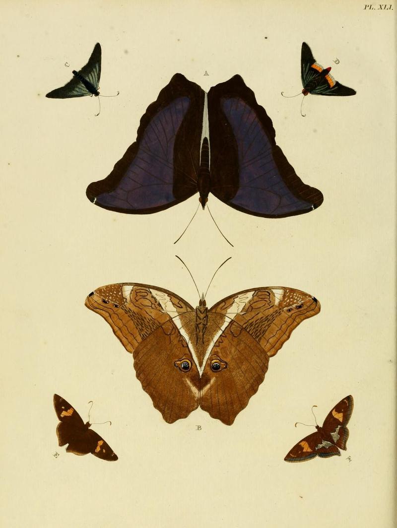 Aanhangsel van het werk, De uitlandsche kapellen (Pl. XLI) (8220181147)