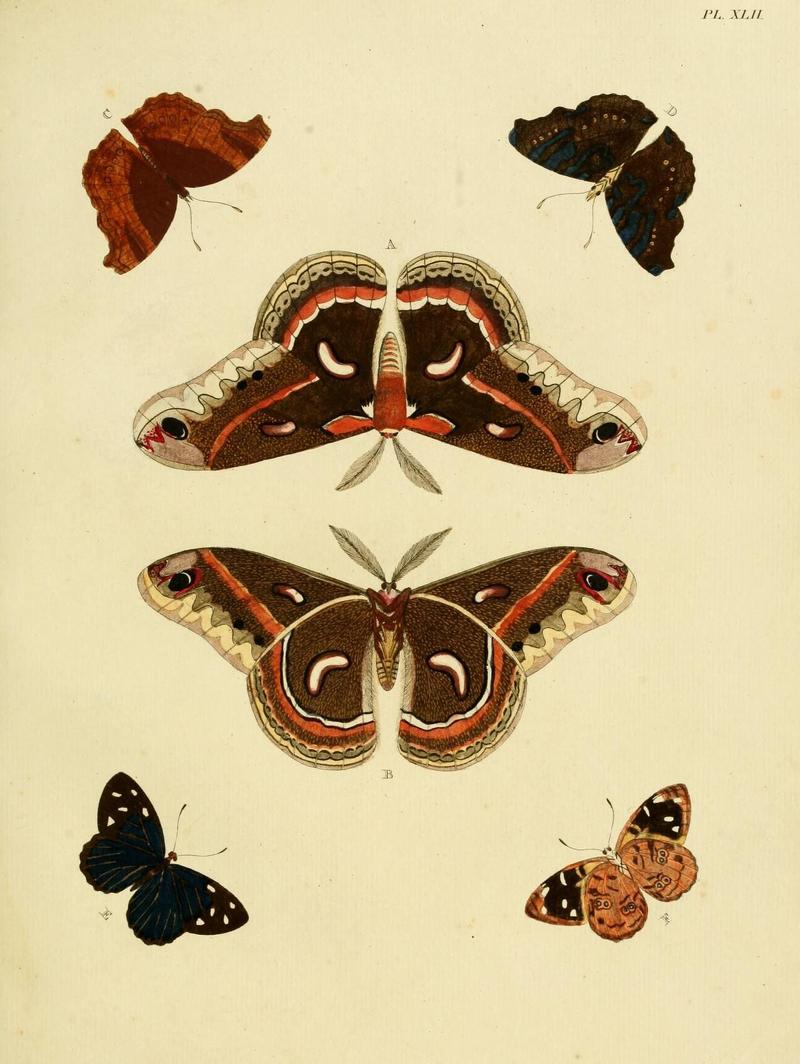 Aanhangsel van het werk, De uitlandsche kapellen (Pl. XLII) (8221261888)