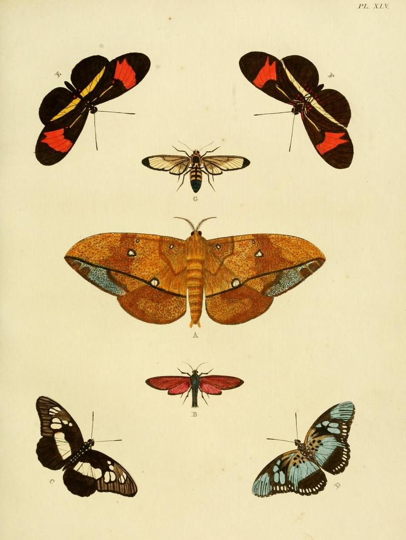 Aanhangsel van het werk, De uitlandsche kapellen (Pl. XLV) (8221263028)